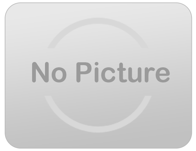 Tent Lights Tent Lights